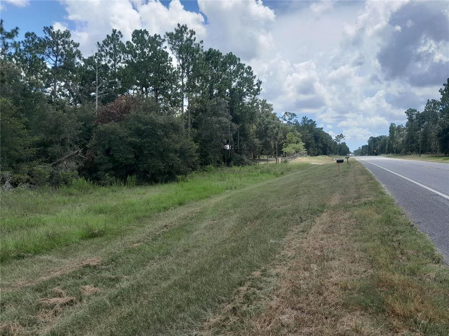 ALMOST 1/2 ACRE ON PAVED STATE ROAD 121 in Morriston suitable for a manufactured home or a site built home.  Nice pine and oak trees. Parcel measures about 100' on the road and 200' deep. Just minutes to downtown Williston, 35 minutes to Gainesville or Ocala for hospitals. Also Shopping, Restaurants, Schools, etc. HITS Showground is a 20 minute drive. World Equestrian Center is 35 minutes towards Ocala. Black Prong/ Goethe State Forest is 15 minutes away.  No HOA and high and dry. All dimensions taken from property appraiser site.  Call today!