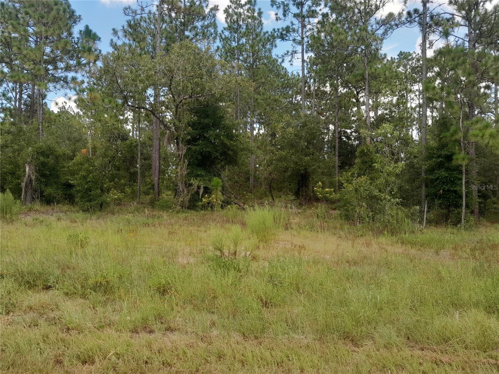 REPLAT WILLISTON HIGHLANDS UNIT 5 - Land