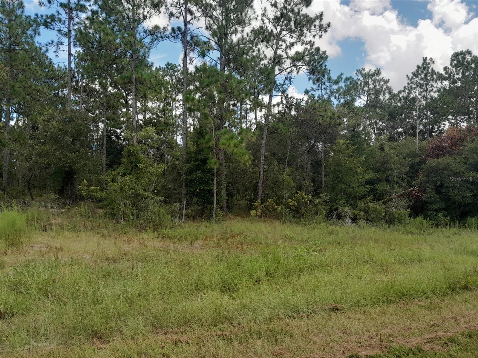 REPLAT WILLISTON HIGHLANDS UNIT 5 - Land