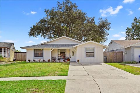 12529 MONDRAGON DRIVE TAMPA FL 33625