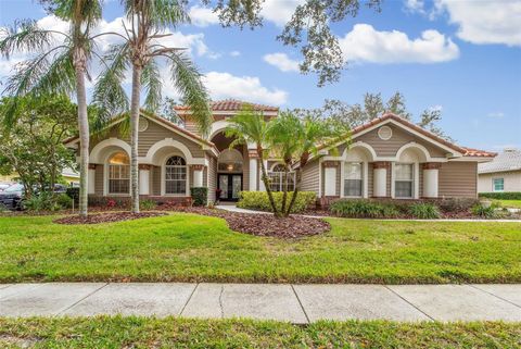 A home in PALM HARBOR