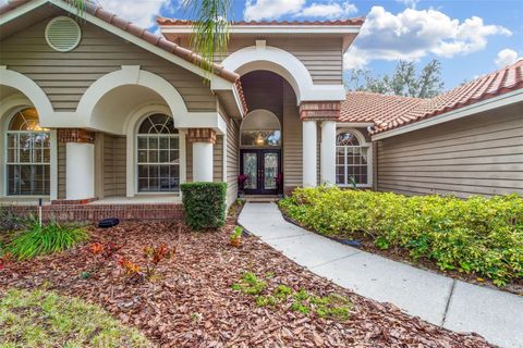 A home in PALM HARBOR