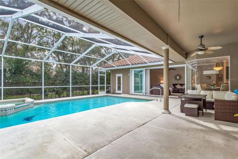 A home in PALM HARBOR