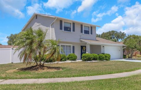 3035 ANNADALE BRANDON FL 33511
