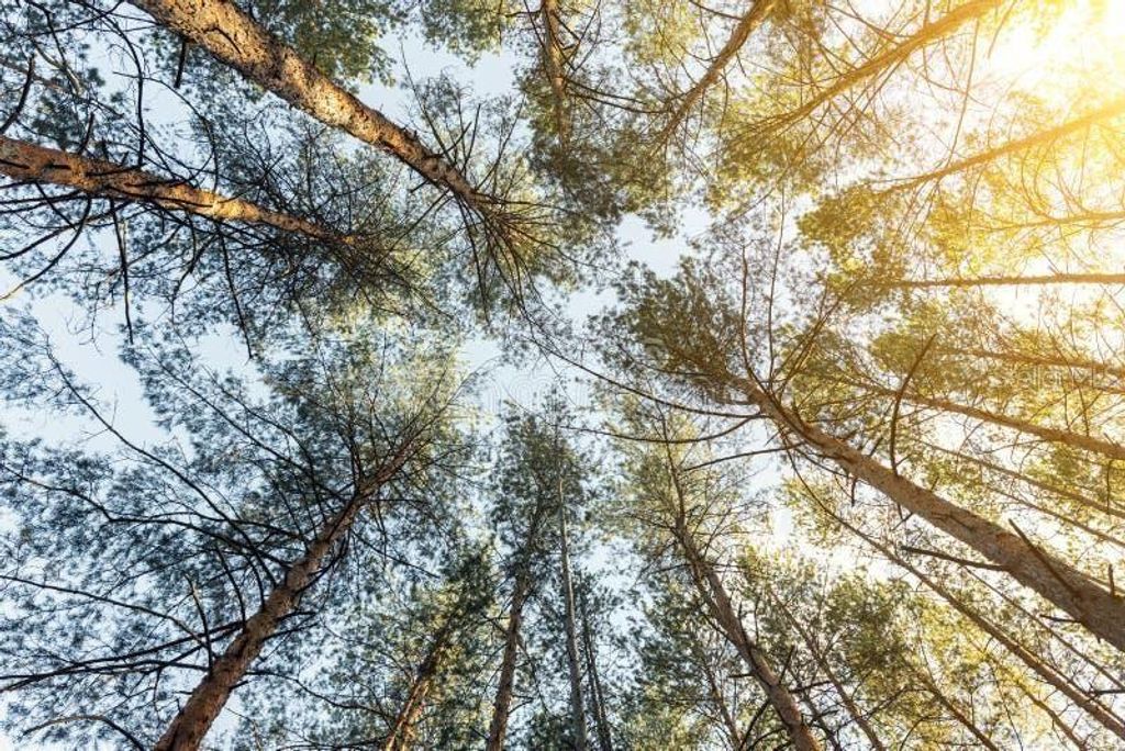 Photo of 307 Nagle Court, Lehigh Acres, FL 33972 (MLS # TB8428494)