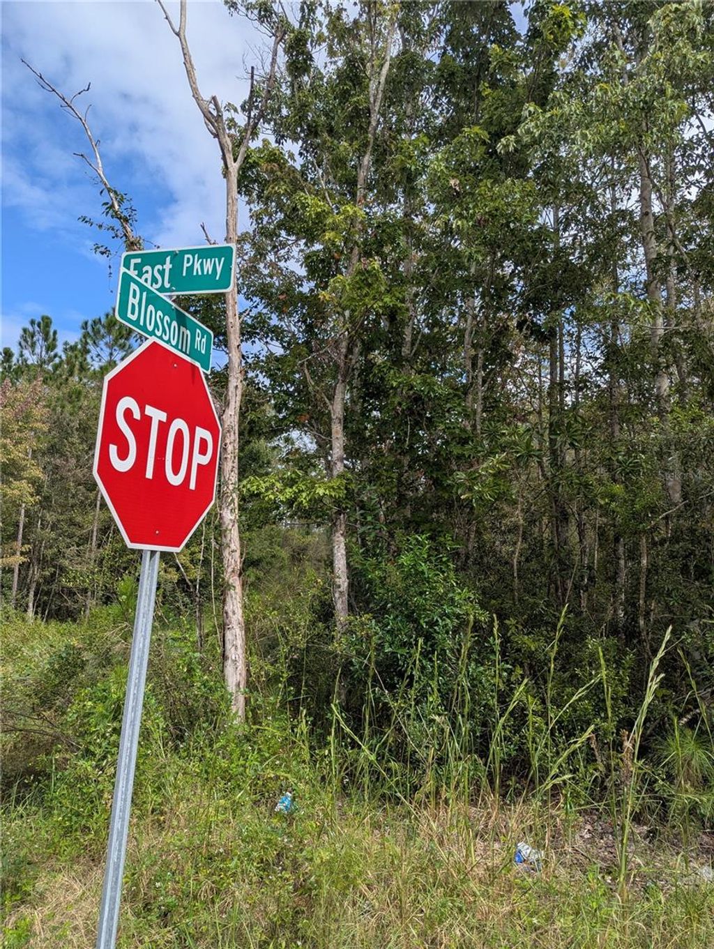 Photo of East Parkway, Deland, FL 32724 (MLS # V4945340)