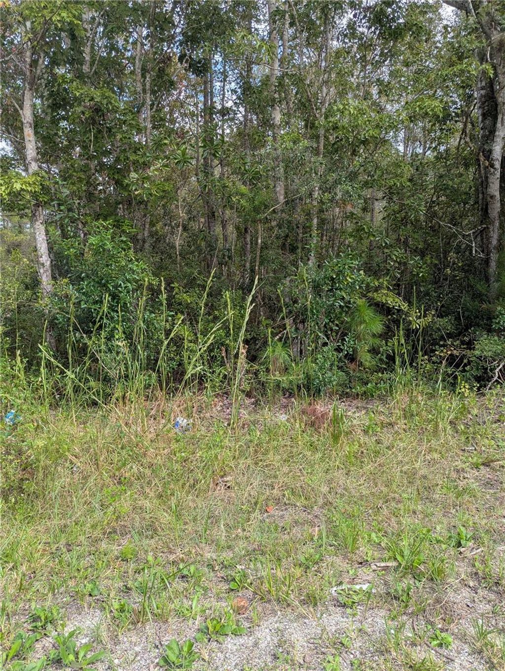 Photo of East Parkway, Deland, FL 32724 (MLS # V4945340)