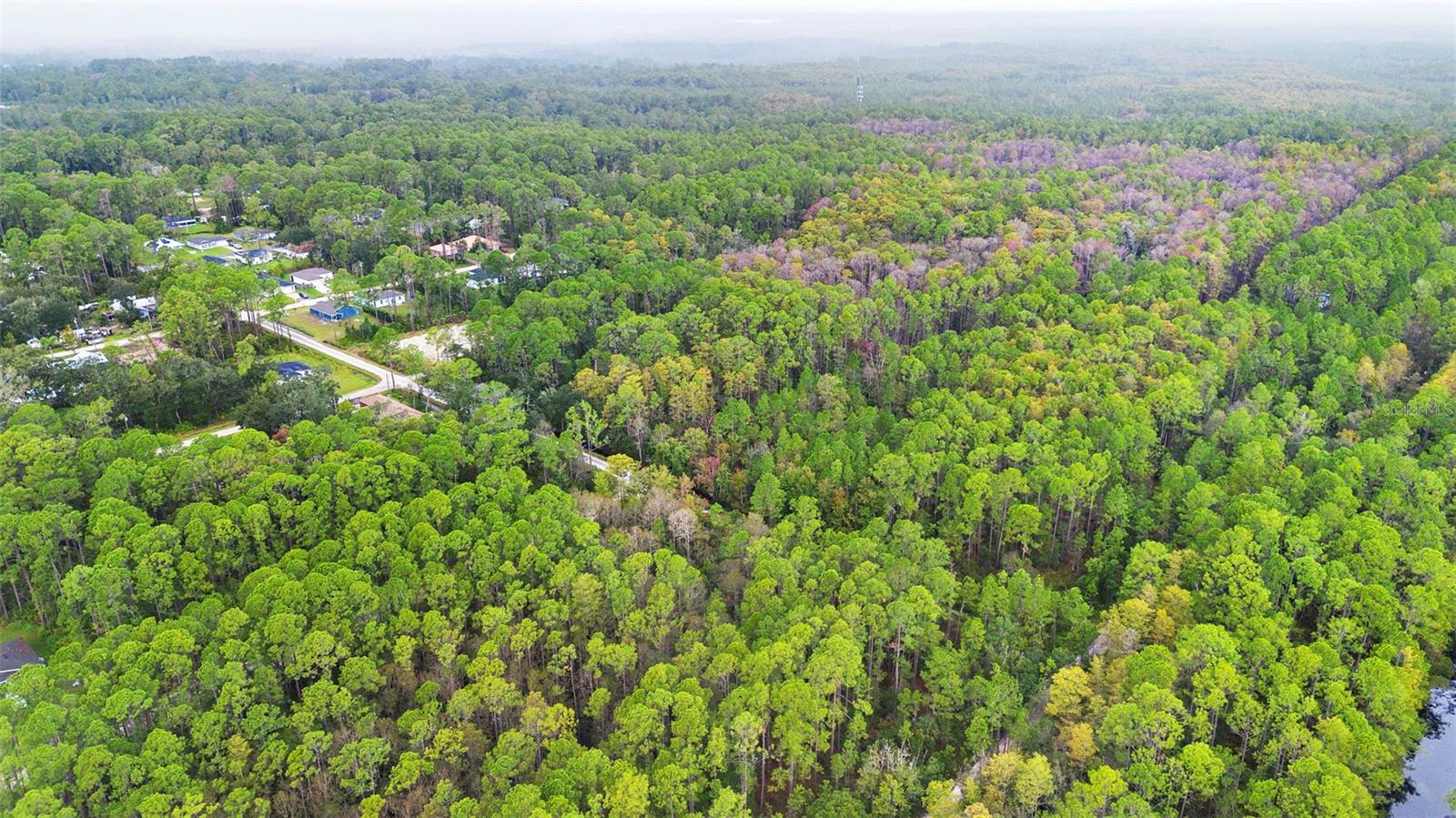 DAYTONA PARK ESTATES SEC F - Land