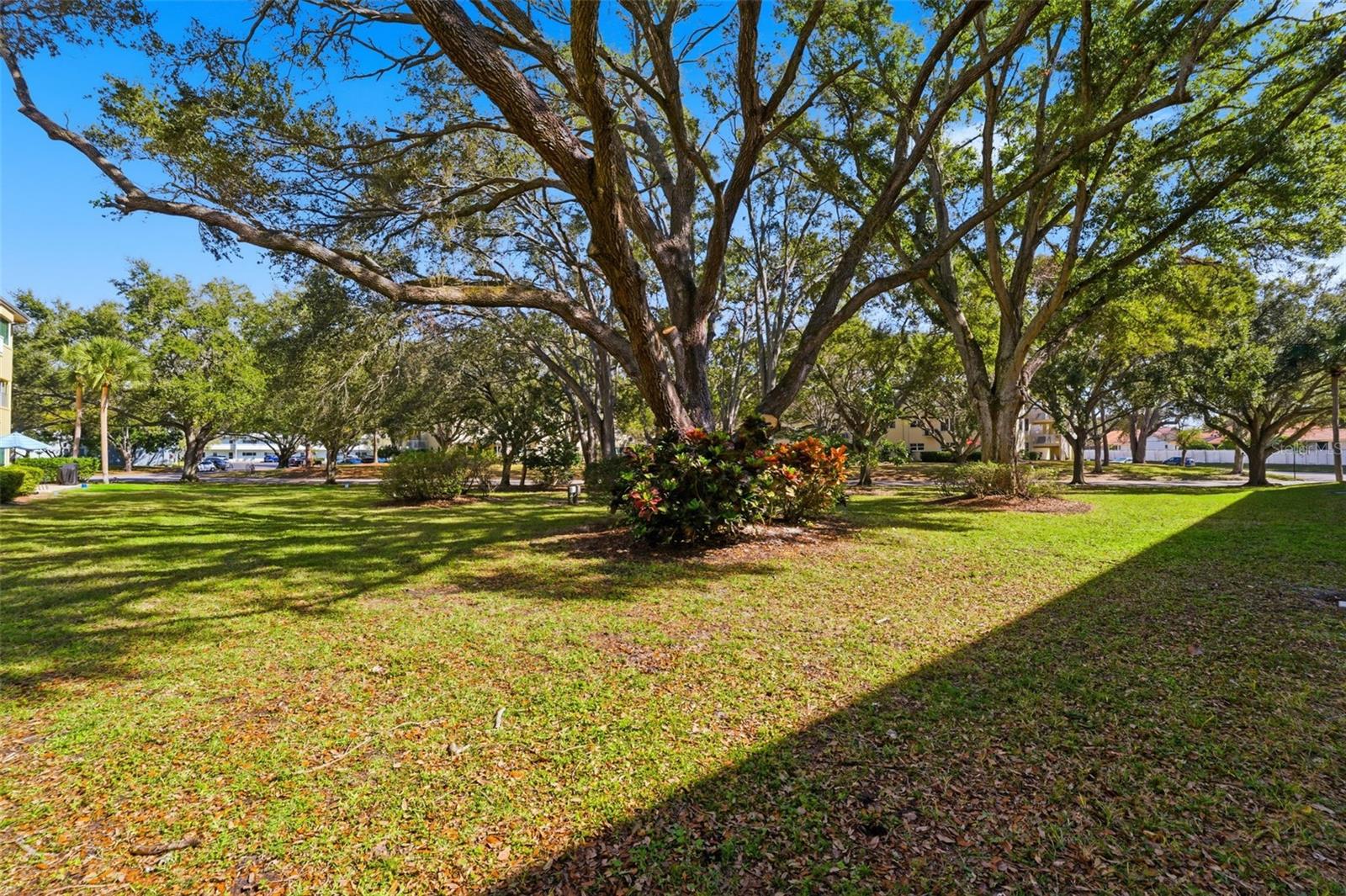 ON TOP OF THE WORLD - Residential