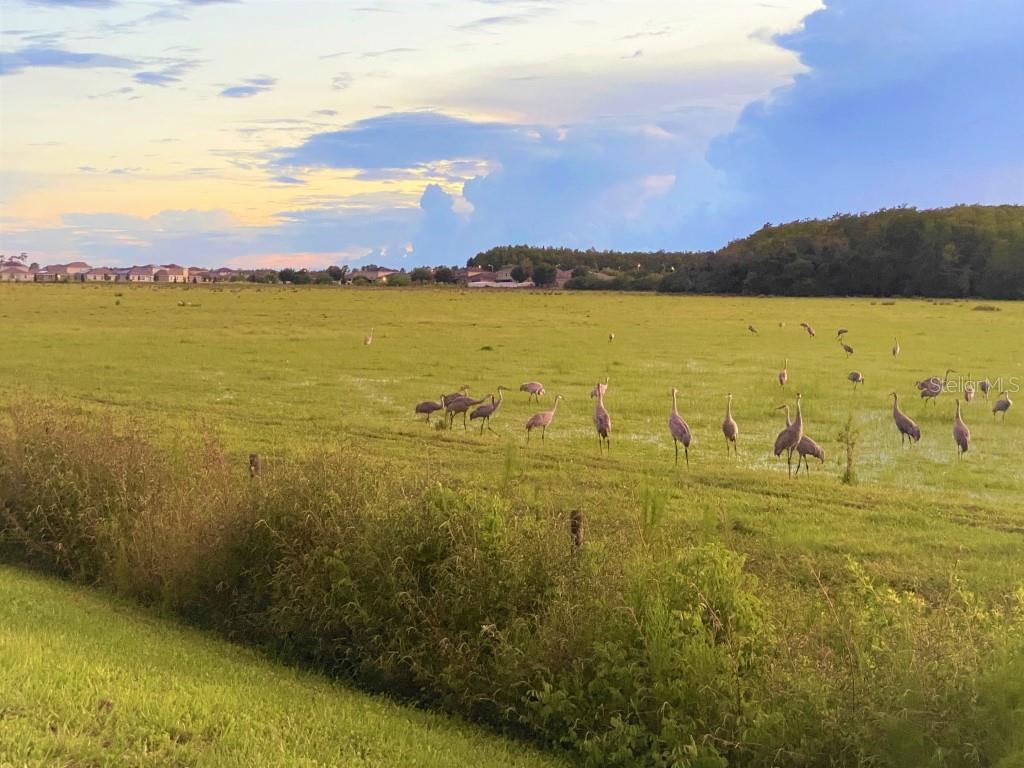 OLD HICKORY - Residential