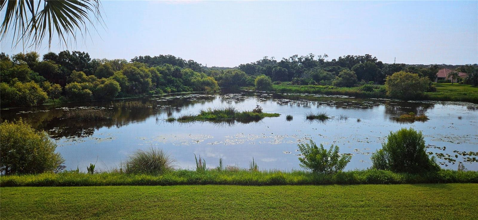 LAKESIDE AT ISLES ON PLMER RCH - Residential