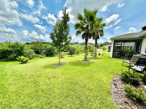 A home in LAND O LAKES