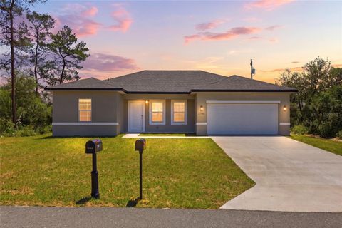 Photo of 2780 SW 162nd Lane, Ocala, FL 34473 (MLS # O6406149)