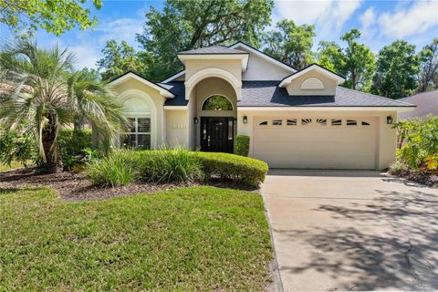 3349 GLENSHANE WAY ORMOND BEACH FL 32174