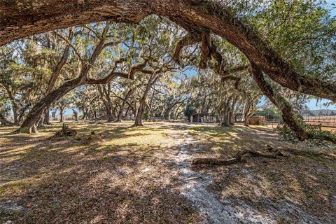 Tiny photo for 15178 NE 47th Avenue, Citra, FL 32113 (MLS # OM718718)