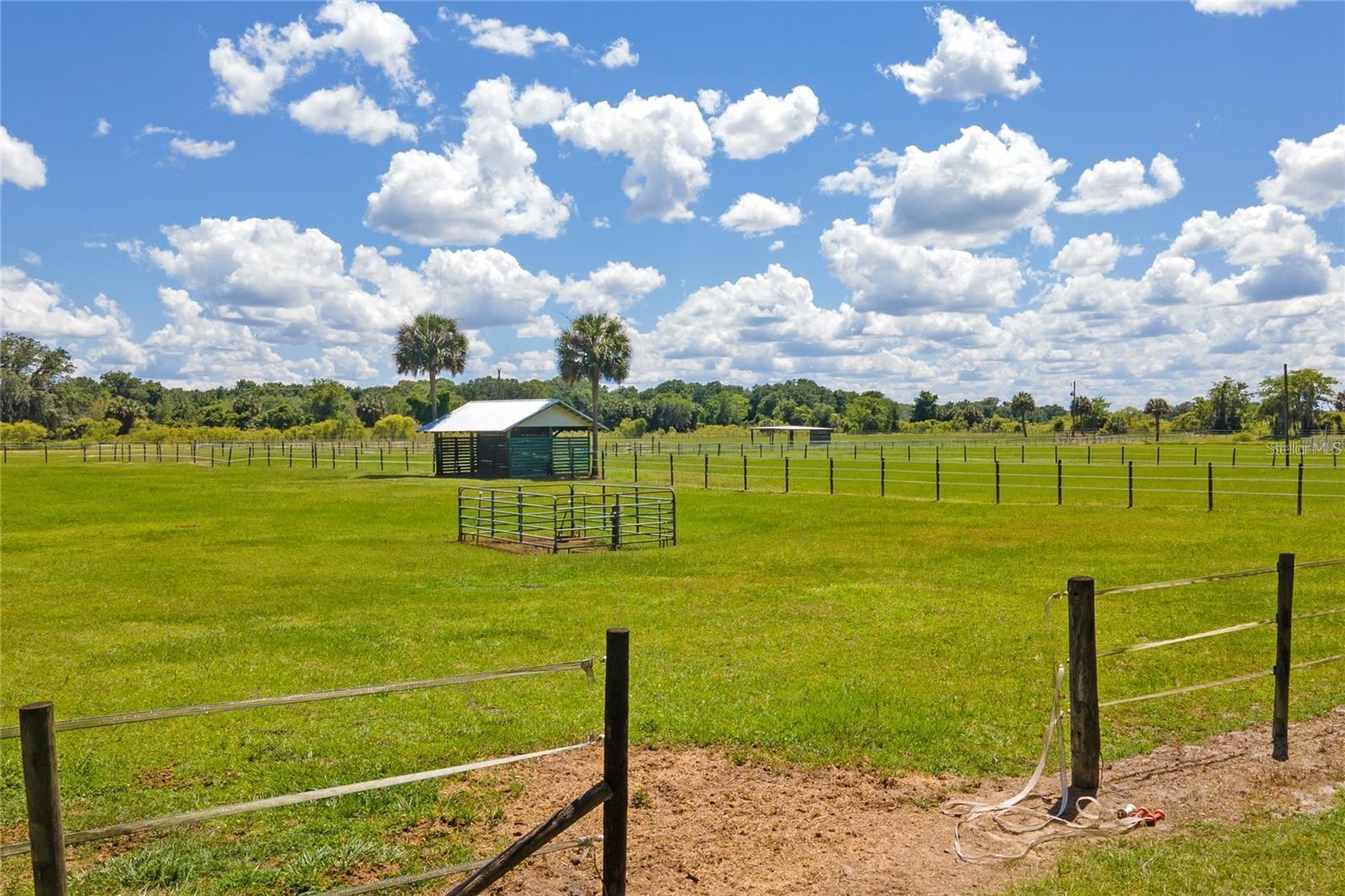 ZIGMON ISLAND ESTATE - Residential