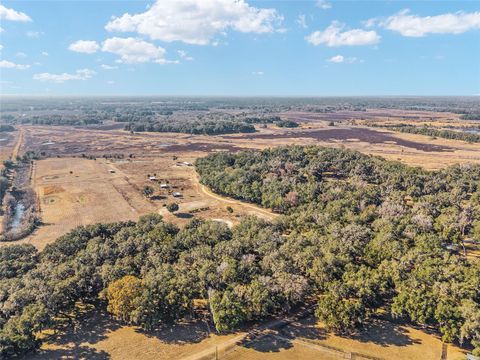 Tiny photo for 15178 NE 47th Avenue, Citra, FL 32113 (MLS # OM718718)