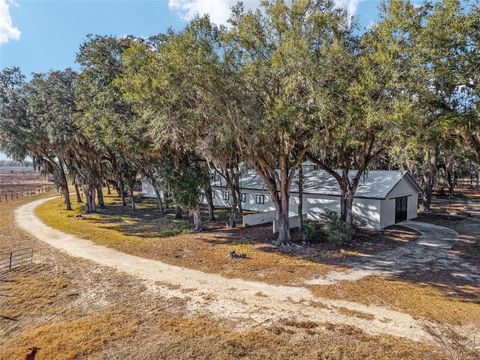 15178 NE 47TH AVENUE CITRA FL 32113