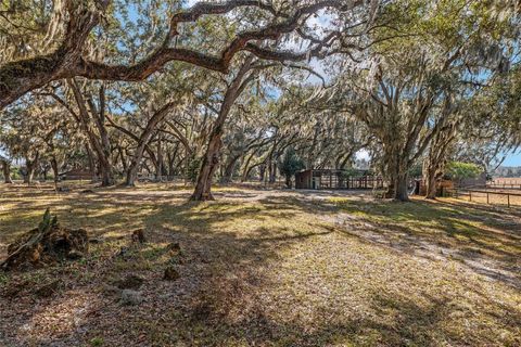 Tiny photo for 15178 NE 47th Avenue, Citra, FL 32113 (MLS # OM718718)