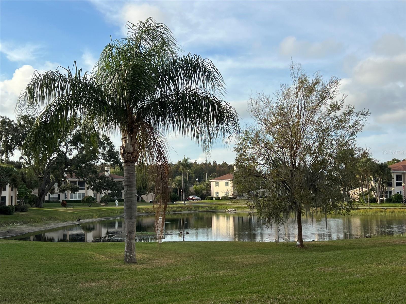 THE GRAND AT OLDE CARROLLWOOD - Residential