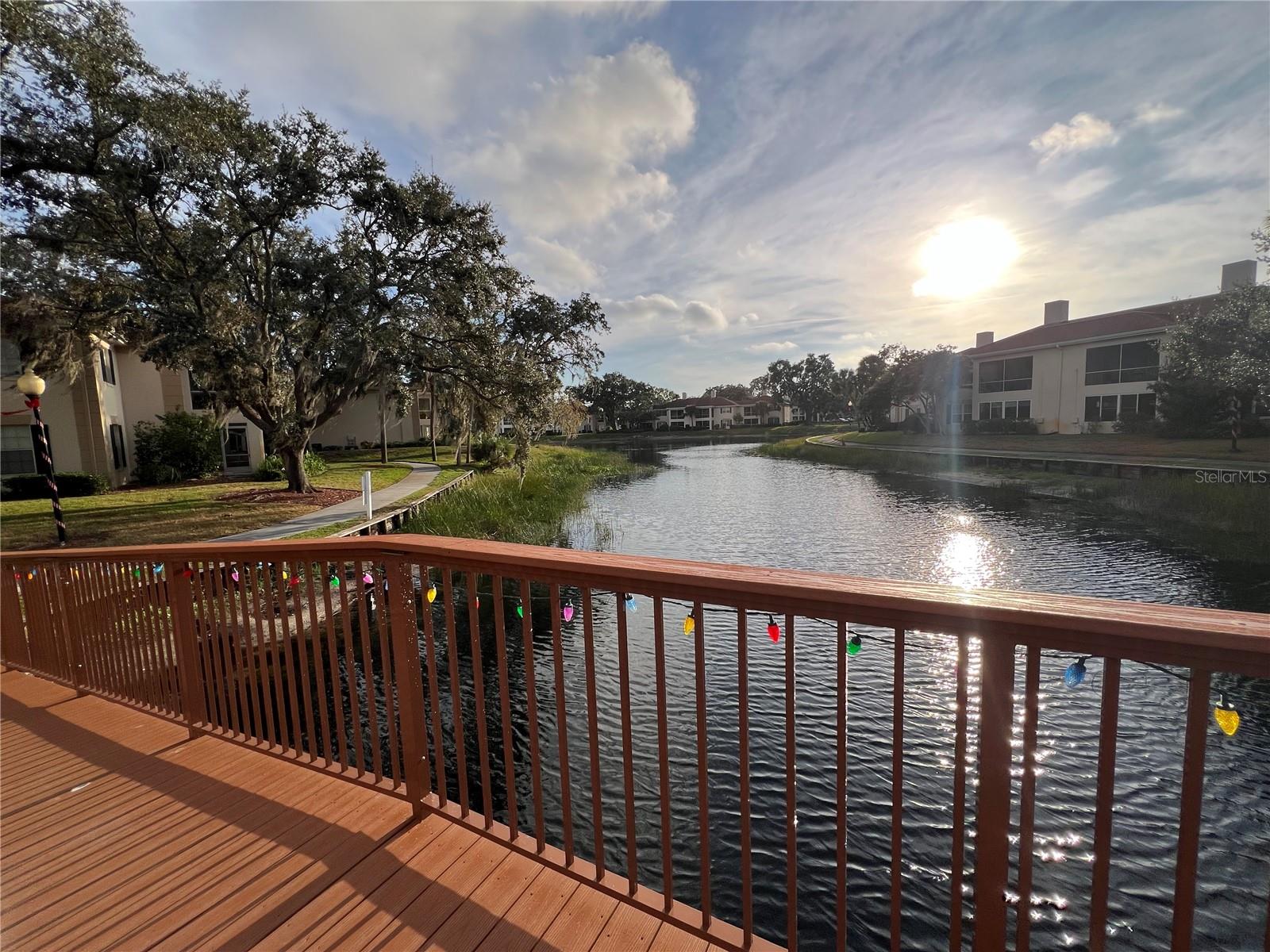 THE GRAND AT OLDE CARROLLWOOD - Residential