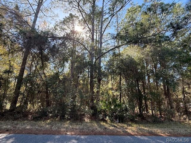 Photo 1 of 11 — 4280 E NUGGET PASS PLACE, DUNNELLON, FL 34434