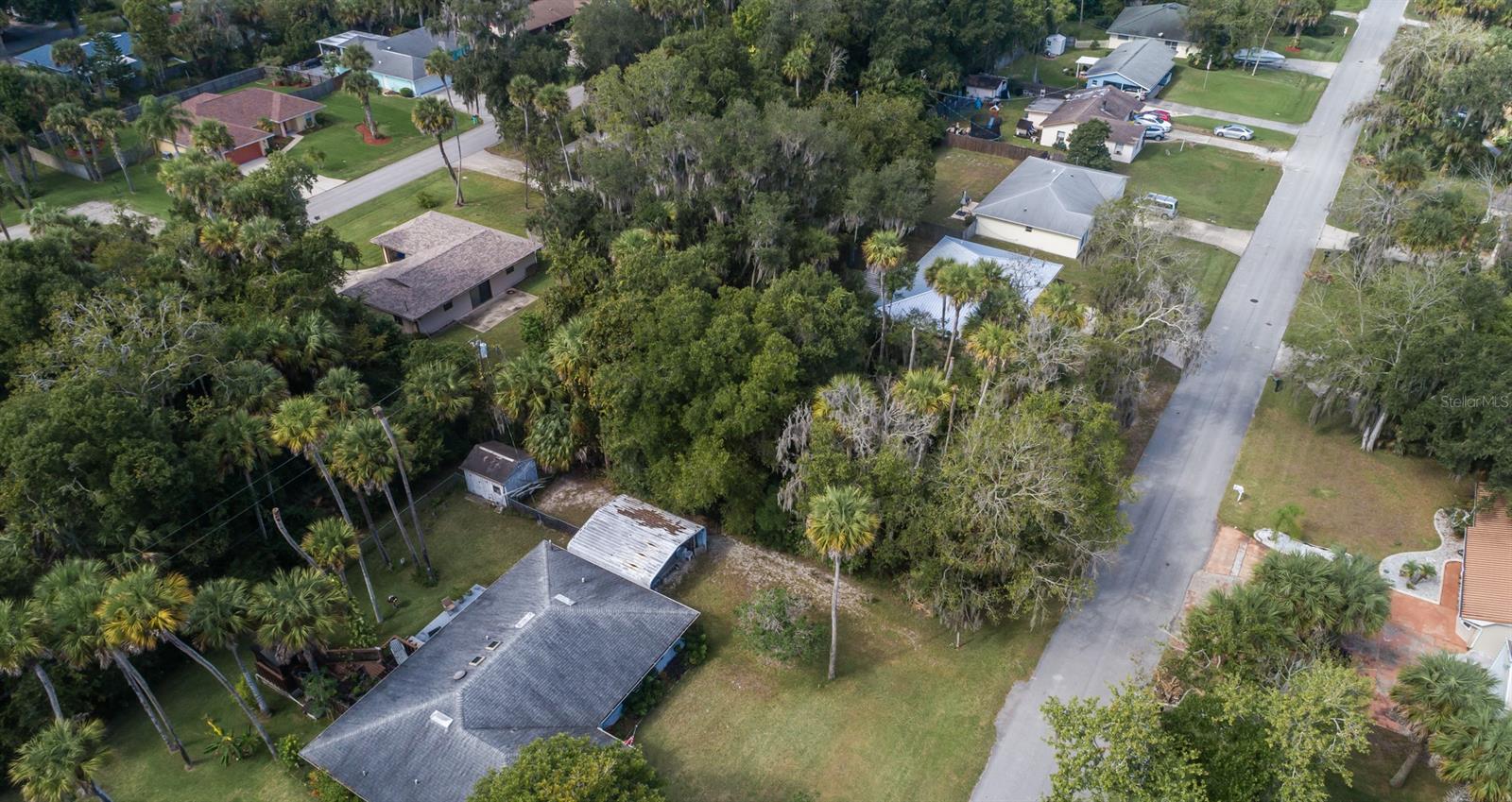 Florida Shores 01 - Land