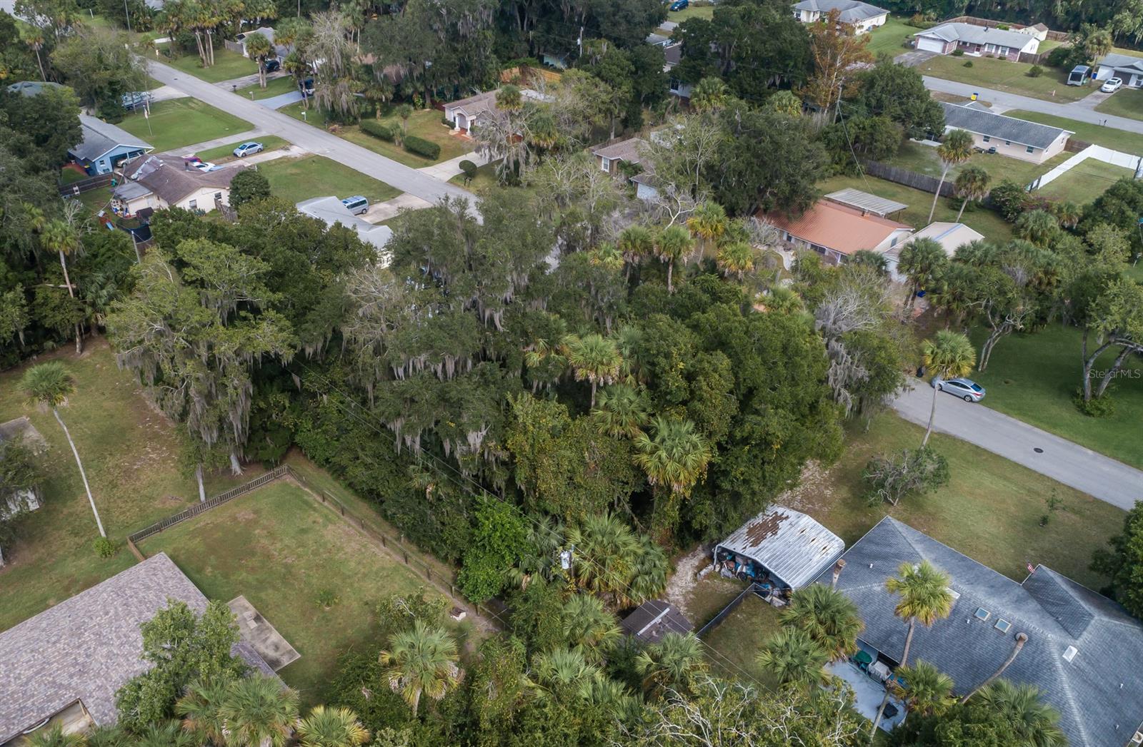 Florida Shores 01 - Land