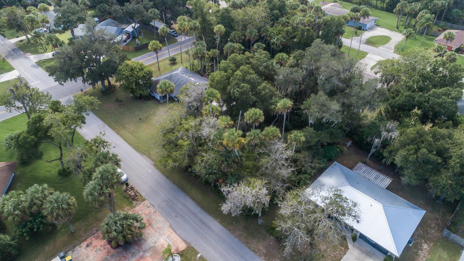 Florida Shores 01 - Land