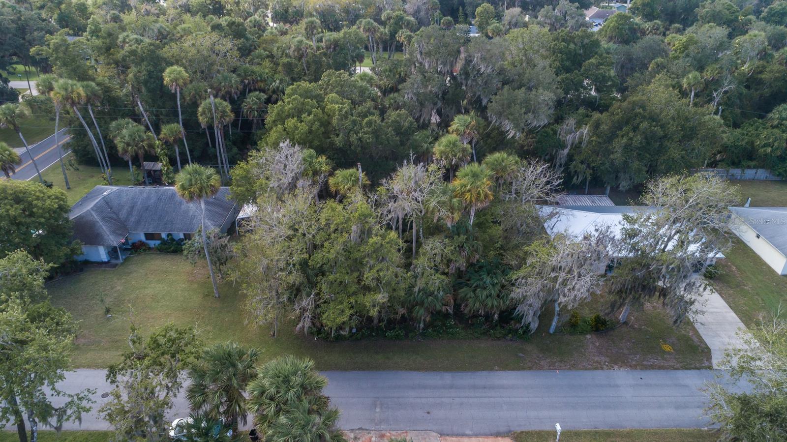 Florida Shores 01 - Land