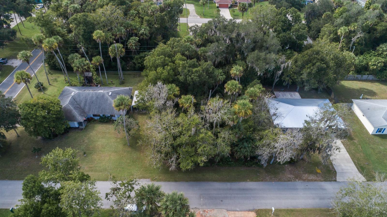 Florida Shores 01 - Land