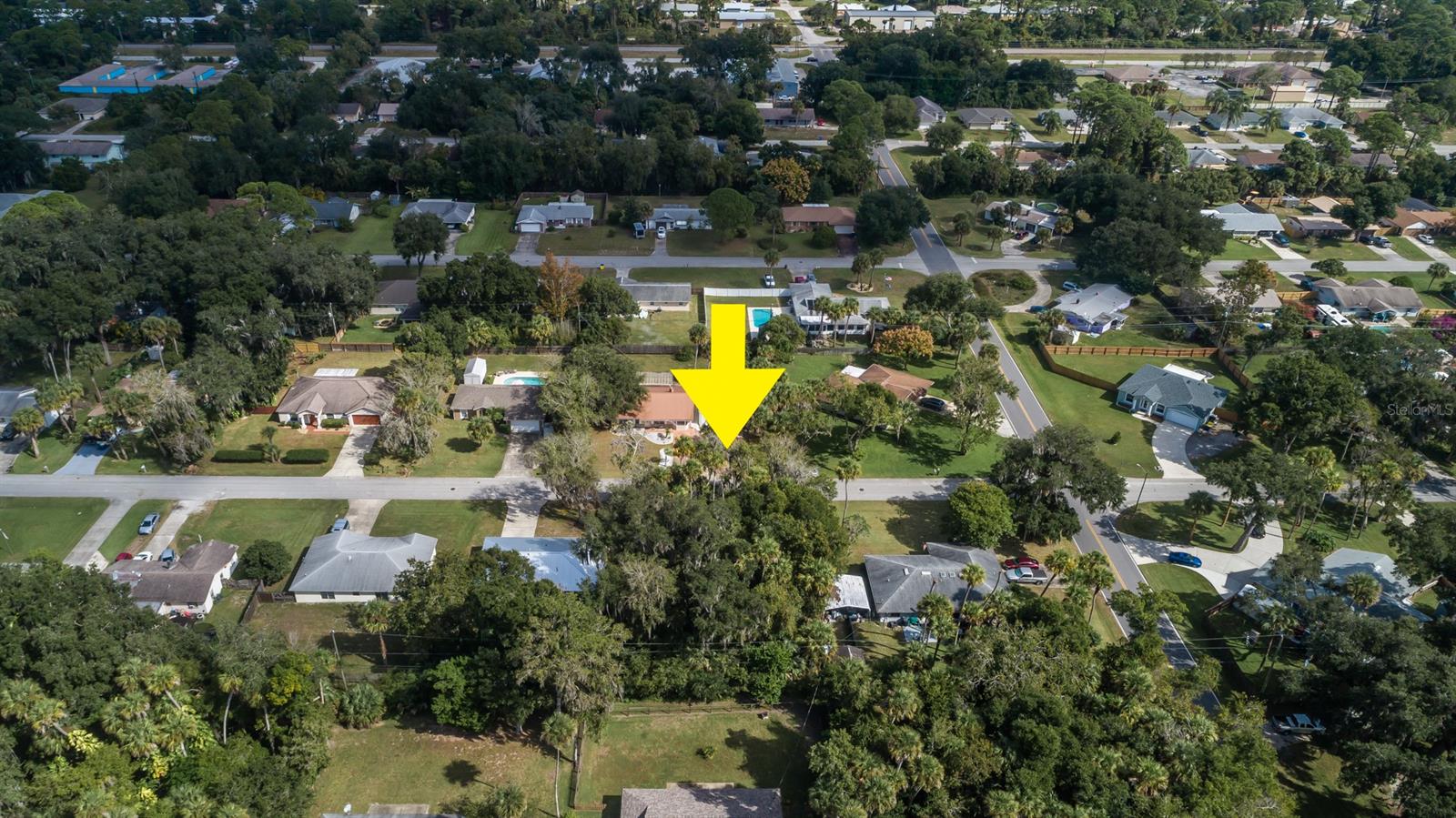 Florida Shores 01 - Land