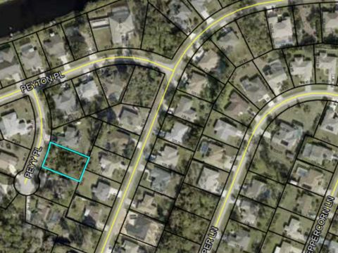 9 PEYY PLACE PALM COAST FL 32164