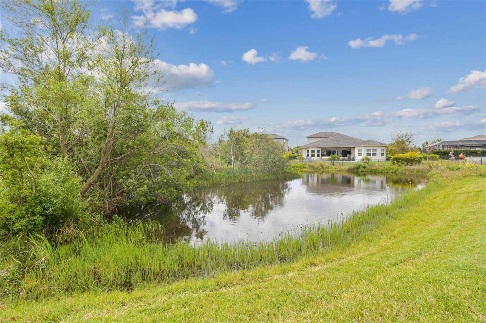 WIREGRASS M23 PH 1A 1B - Residential