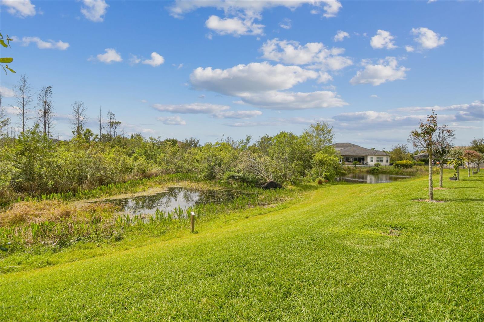 WIREGRASS M23 PH 1A 1B - Residential