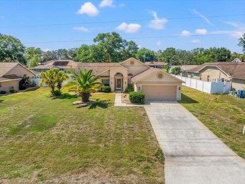 13491 CORONADO DRIVE SPRING HILL FL 34609