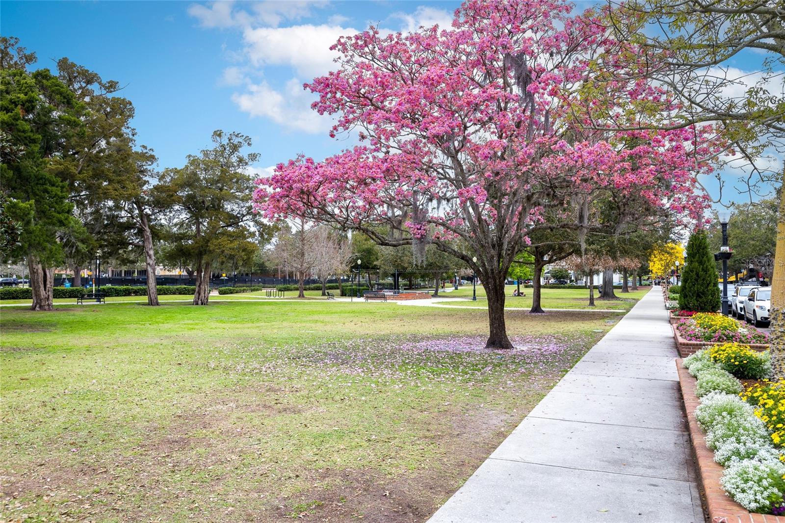 OAKS CONDO - Residential