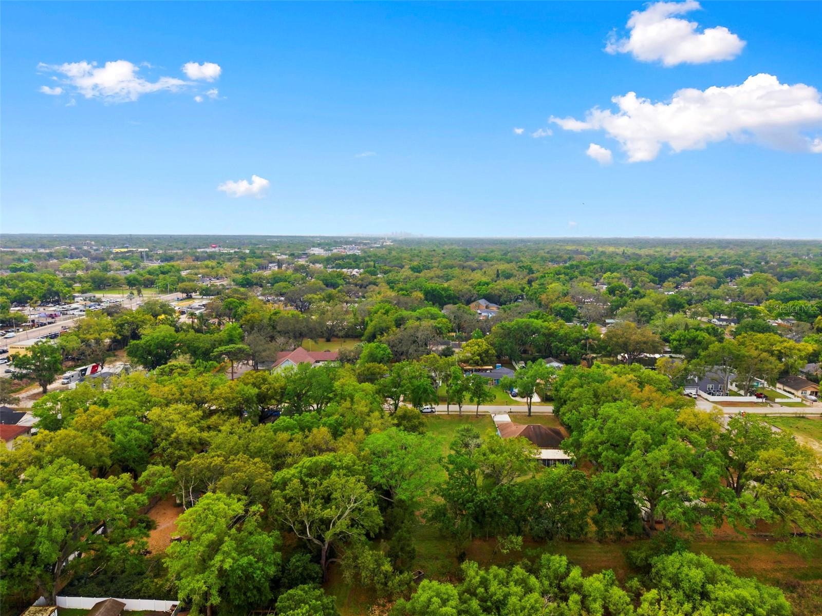 NORTH TAMPA HEIGHTS - Residential