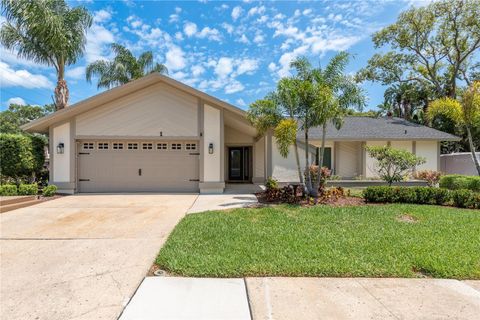 1 MANDARIN TERRACE SAFETY HARBOR FL 34695