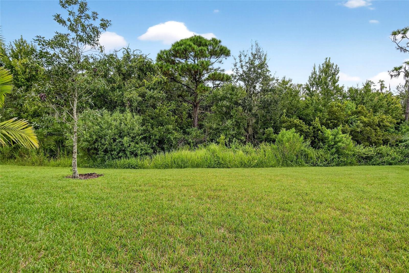 VALENCIA LAKES TR P - Residential