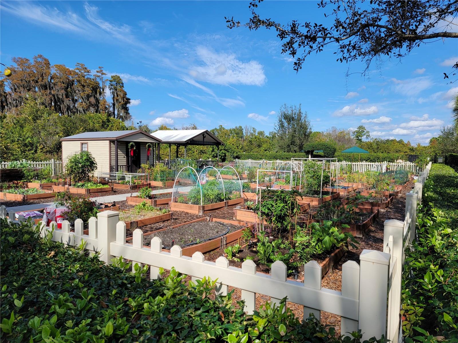 VALENCIA LAKES TR P - Residential