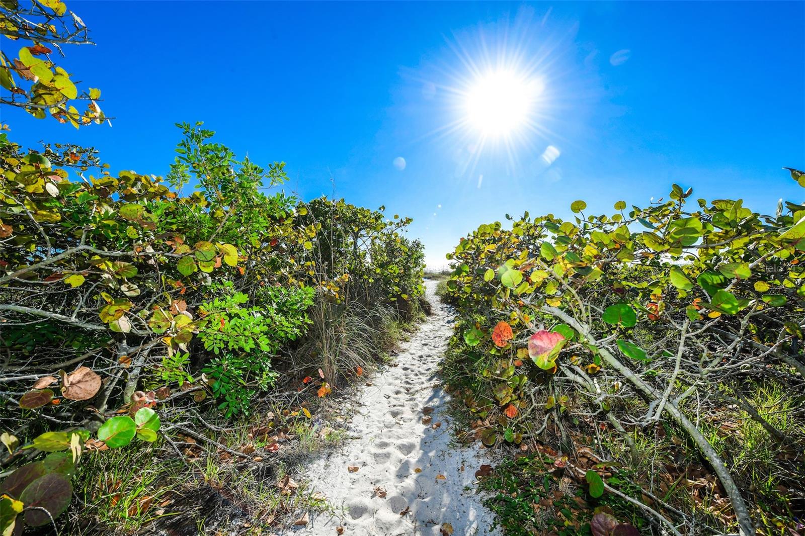 GULF VIEW SUB OF ANNA MARIA KEY - Residential