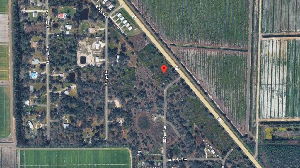 Photo of 4649 SE Highway 31, Arcadia, FL 34266 (MLS # A4684606)