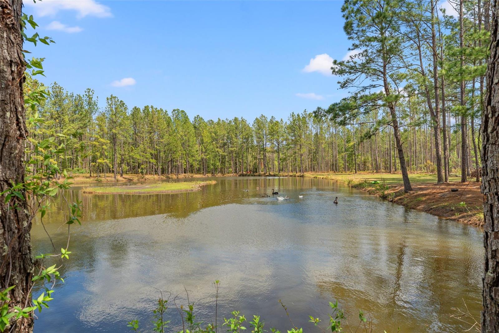 ACERAGE - Residential