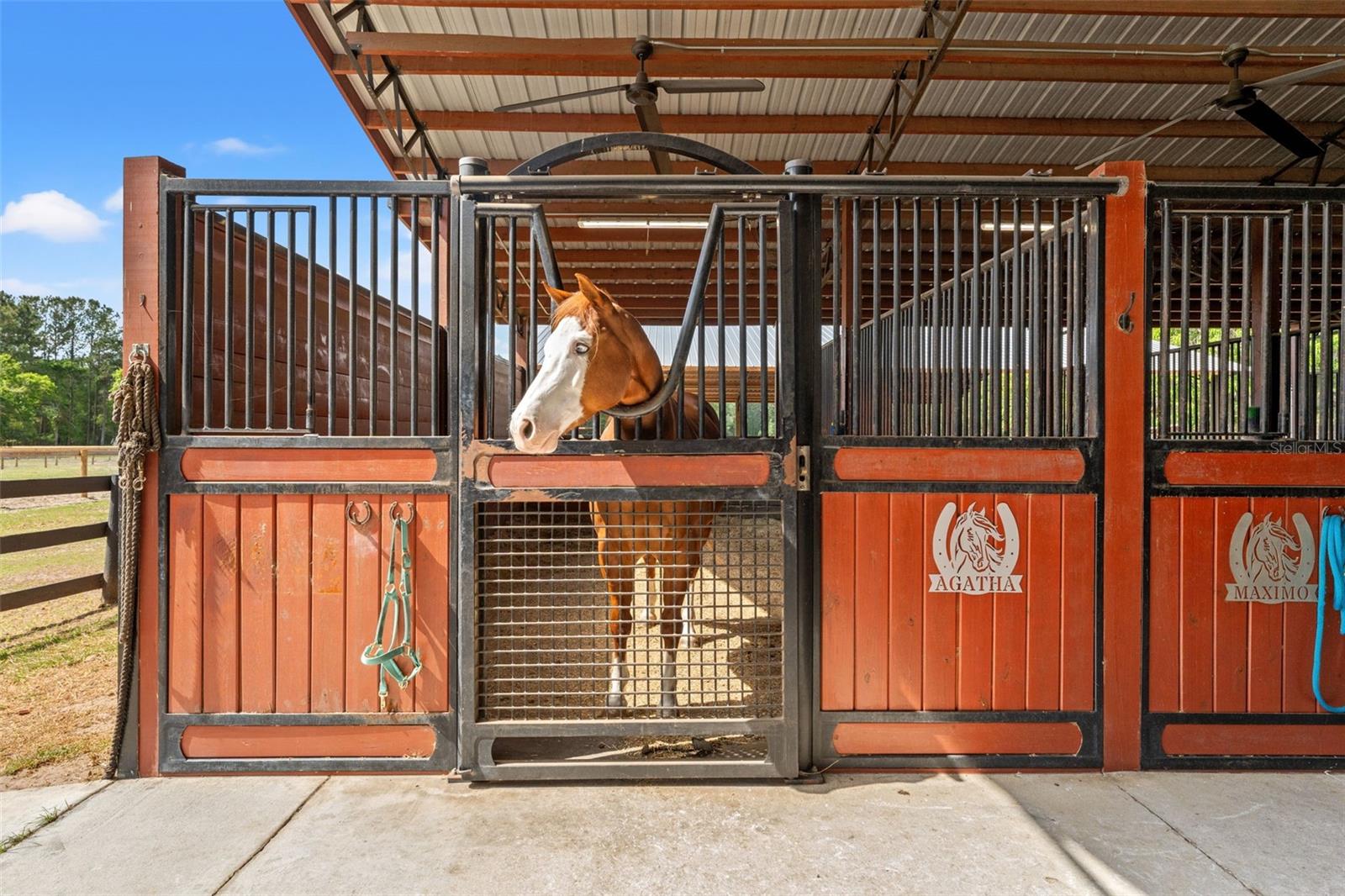 ACERAGE - Residential