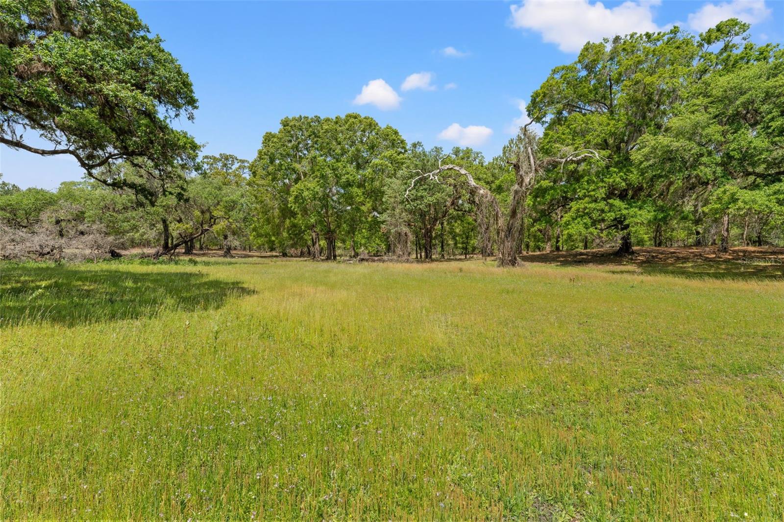 ACERAGE - Residential