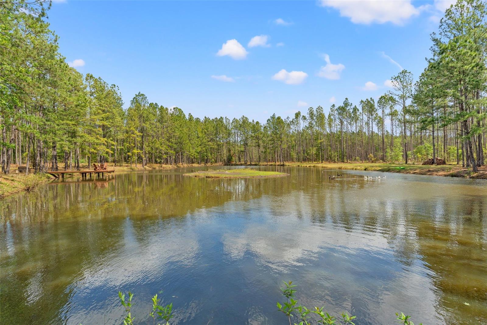 ACERAGE - Residential