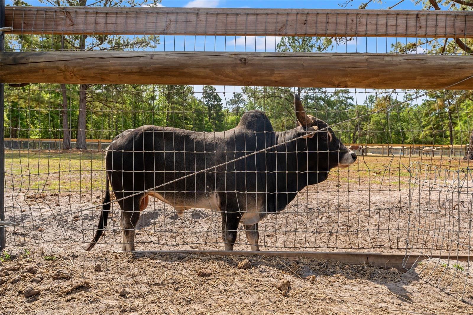 ACERAGE - Residential