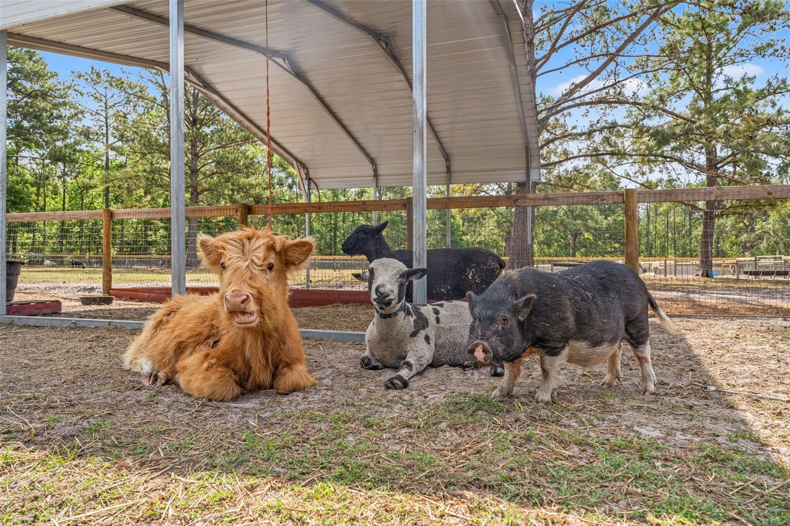 ACERAGE - Residential