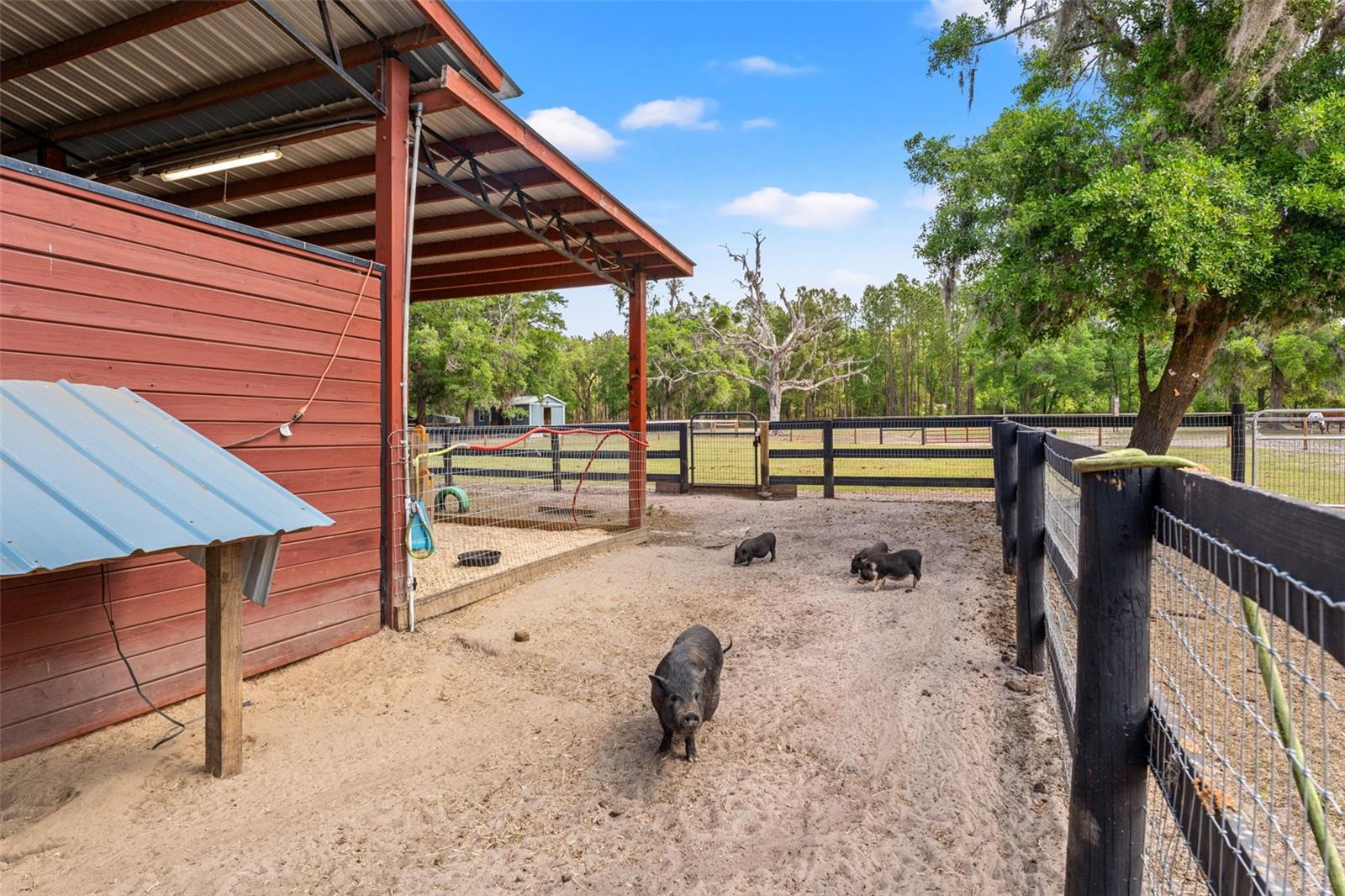 ACERAGE - Residential